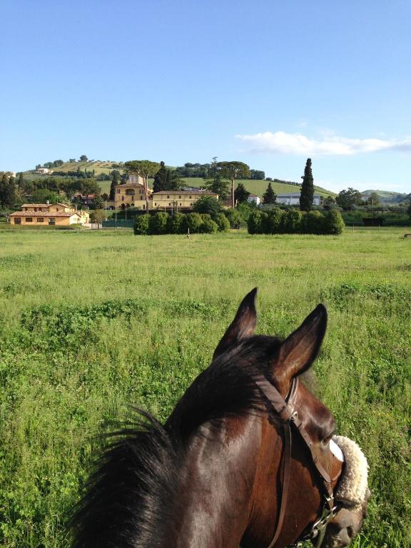 Agriturismo Villa Irelli Castellalto 외부 사진
